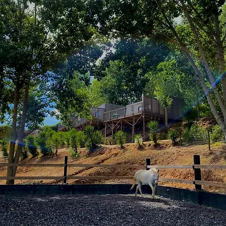 Equinatura - Silver Coast * Caldas Da Rainha