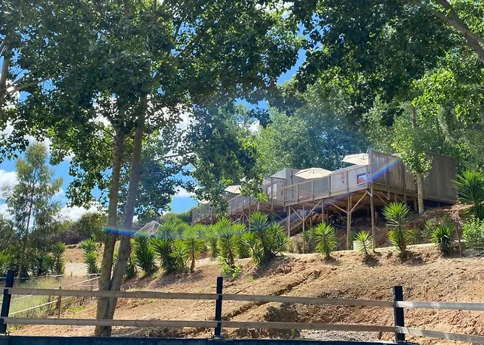 Equinatura - Silver Coast Caldas Da Rainha